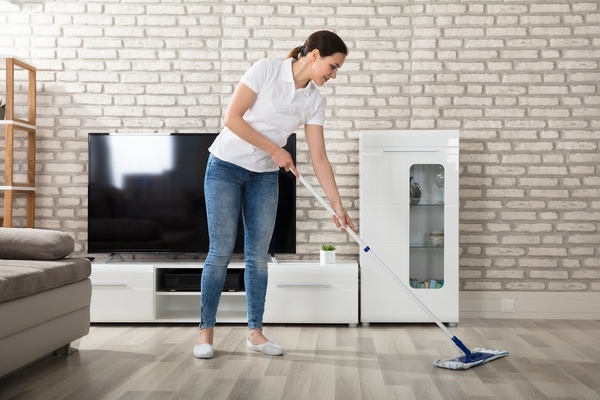 Housekeeping and House Cleaning
